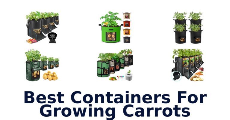 best containers for growing carrots