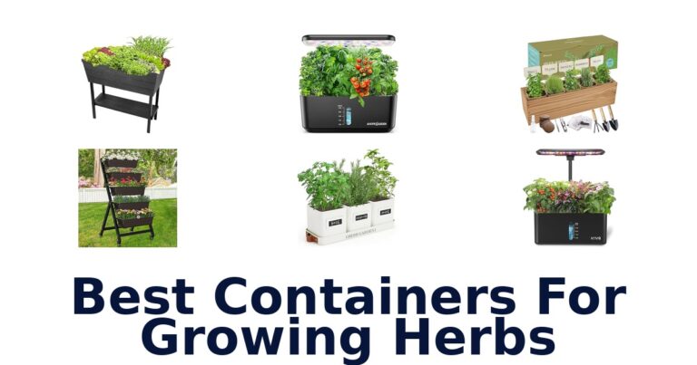 best containers for growing herbs