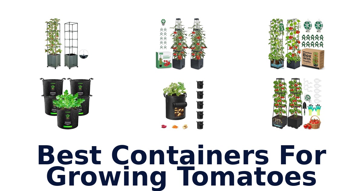 best containers for growing tomatoes