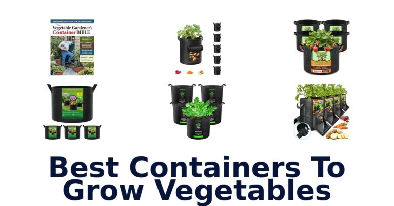 best containers to grow vegetables