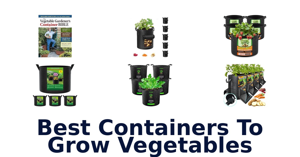 best containers to grow vegetables