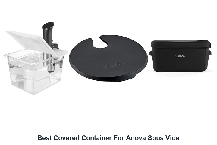 Best Covered Container For Anova Sous Vide
