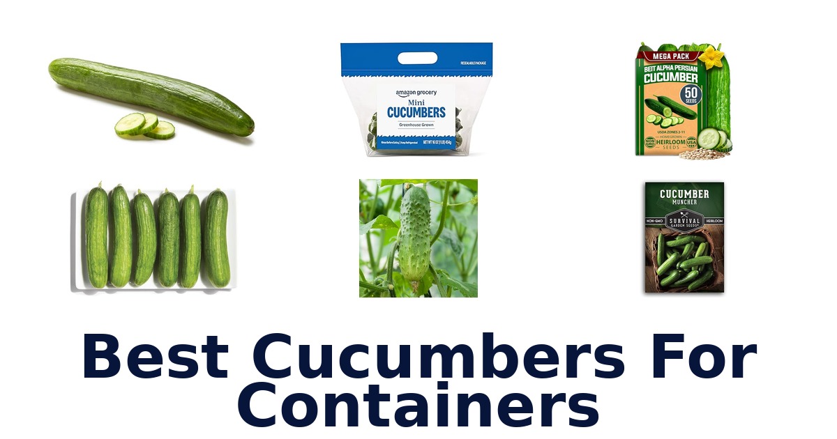 best cucumbers for containers