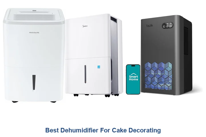 Best Dehumidifier For Cake Decorating