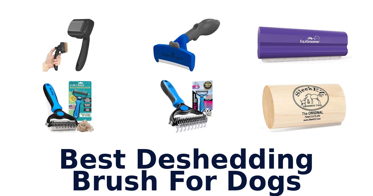 best deshedding brush for dogs