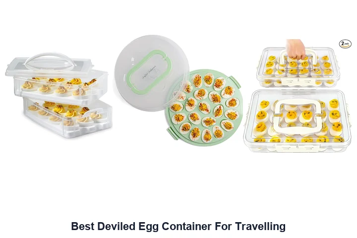 Best Deviled Egg Container For Travelling