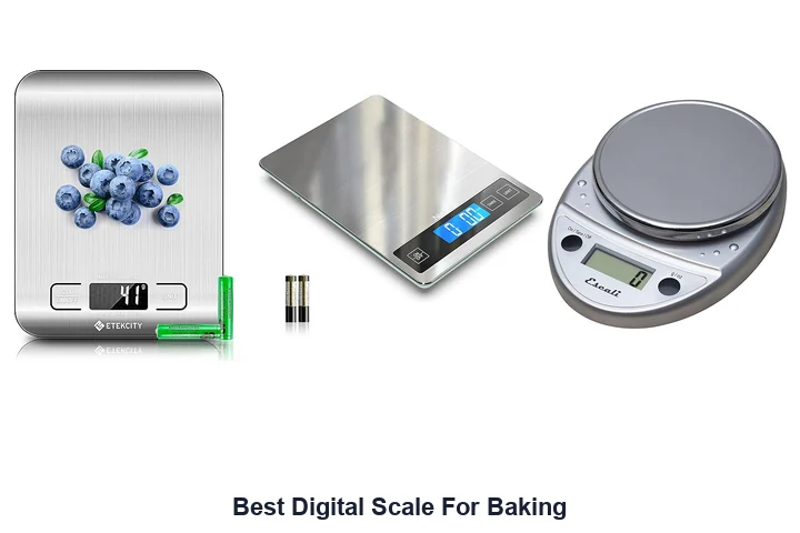 Best Digital Scale For Baking