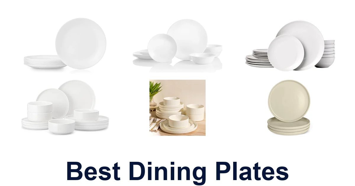 best dining plates