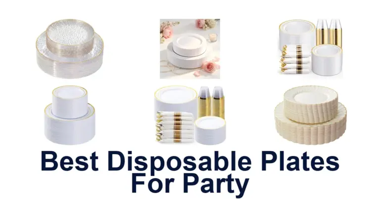 best disposable plates for party