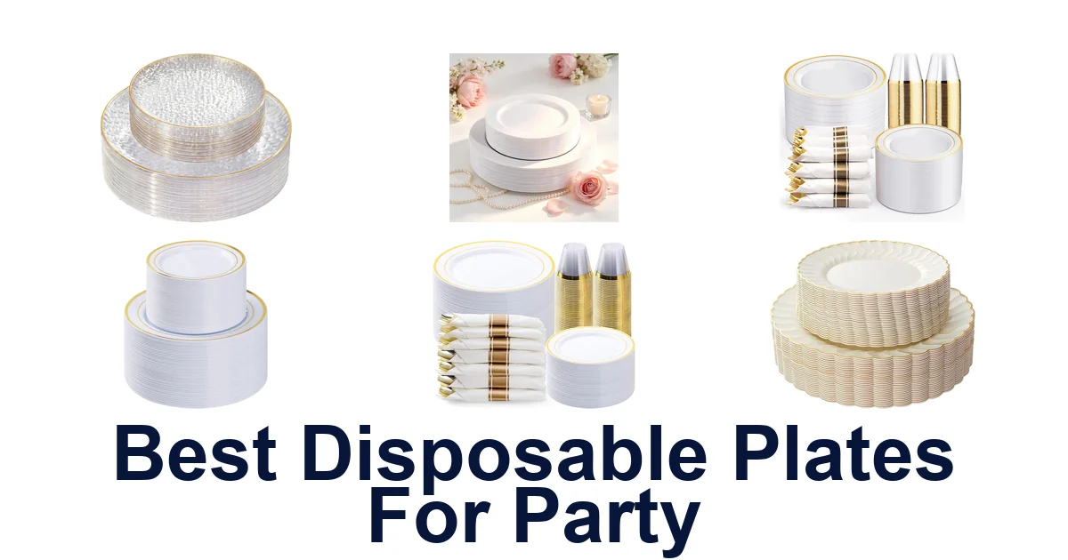 best disposable plates for party