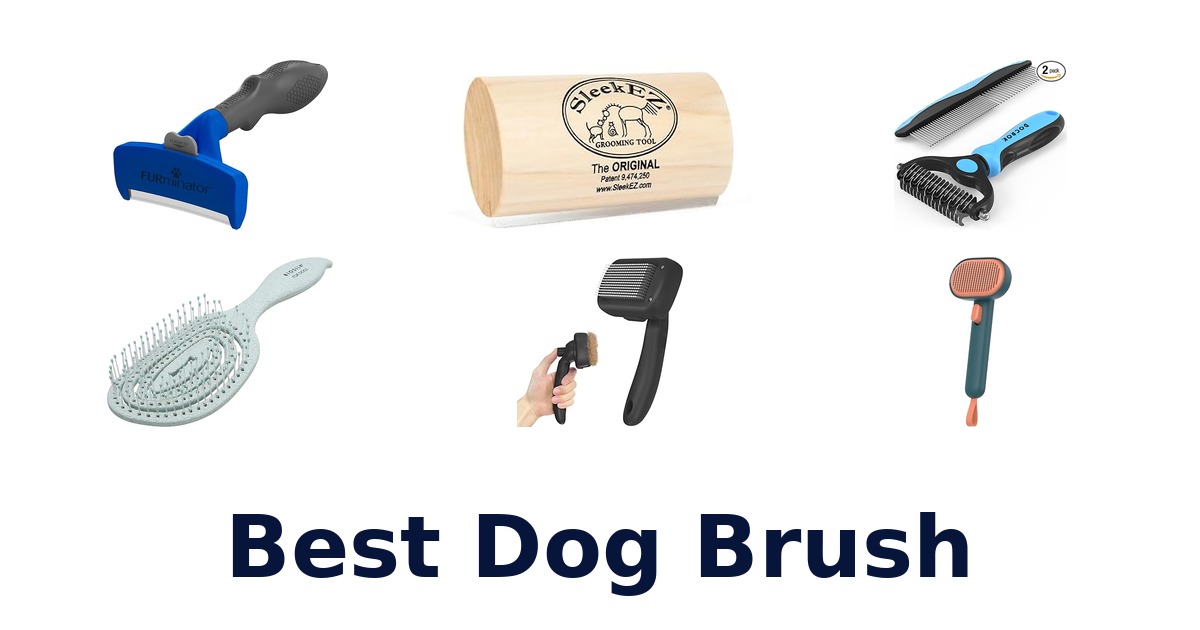 best dog brush