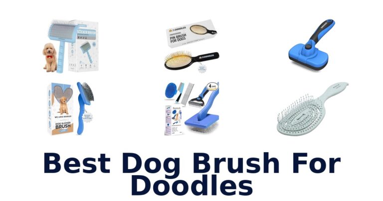 best dog brush for doodles