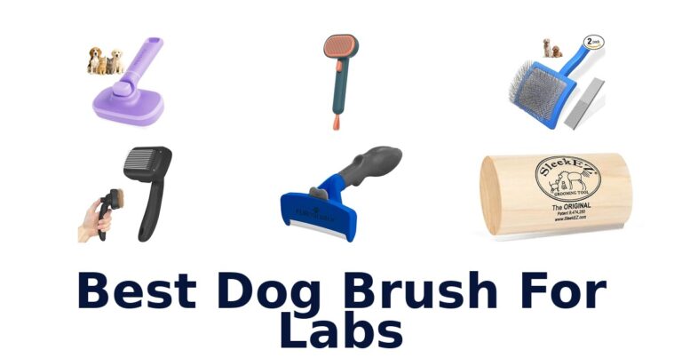 best dog brush for labs