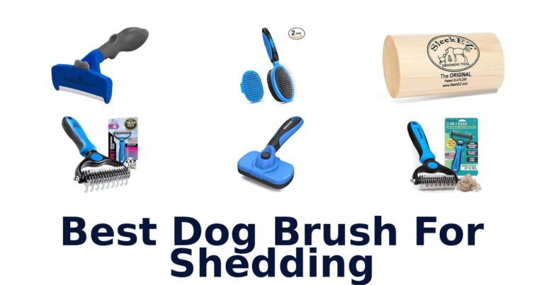 best dog brush for shedding