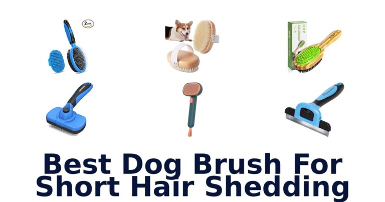 best dog brush for short hair shedding
