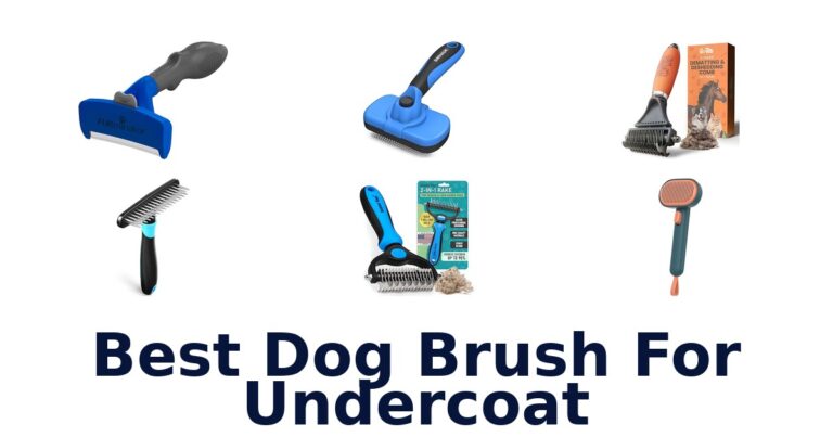 best dog brush for undercoat