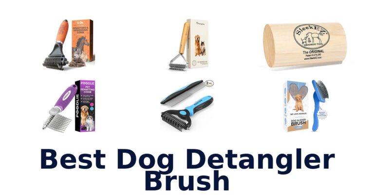 best dog detangler brush