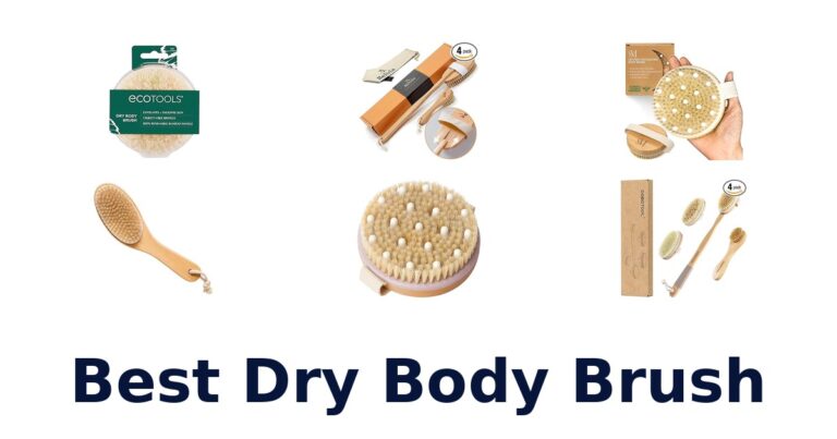 best dry body brush