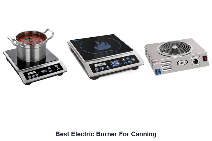 Best Electric Burner For Canning