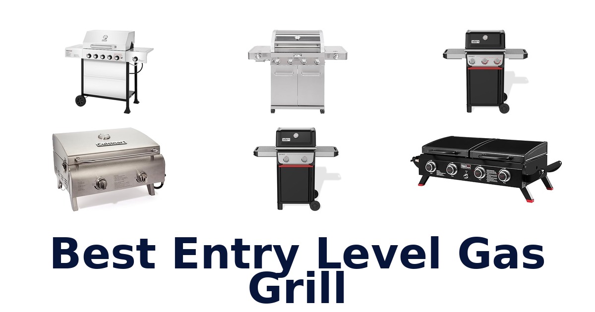 best entry level gas grill