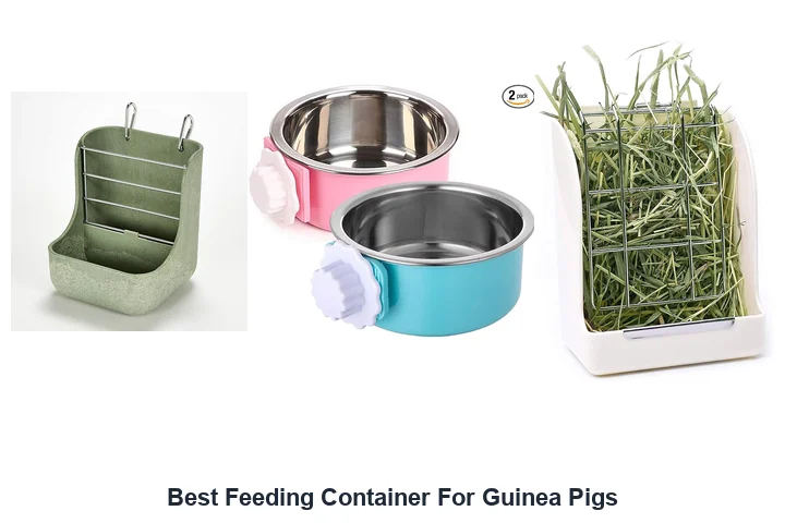 Best Feeding Container For Guinea Pigs