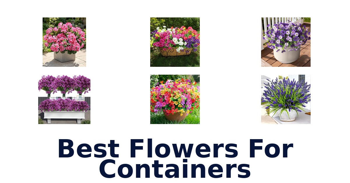 best flowers for containers