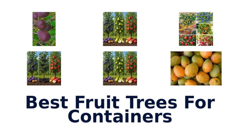 best fruit trees for containers