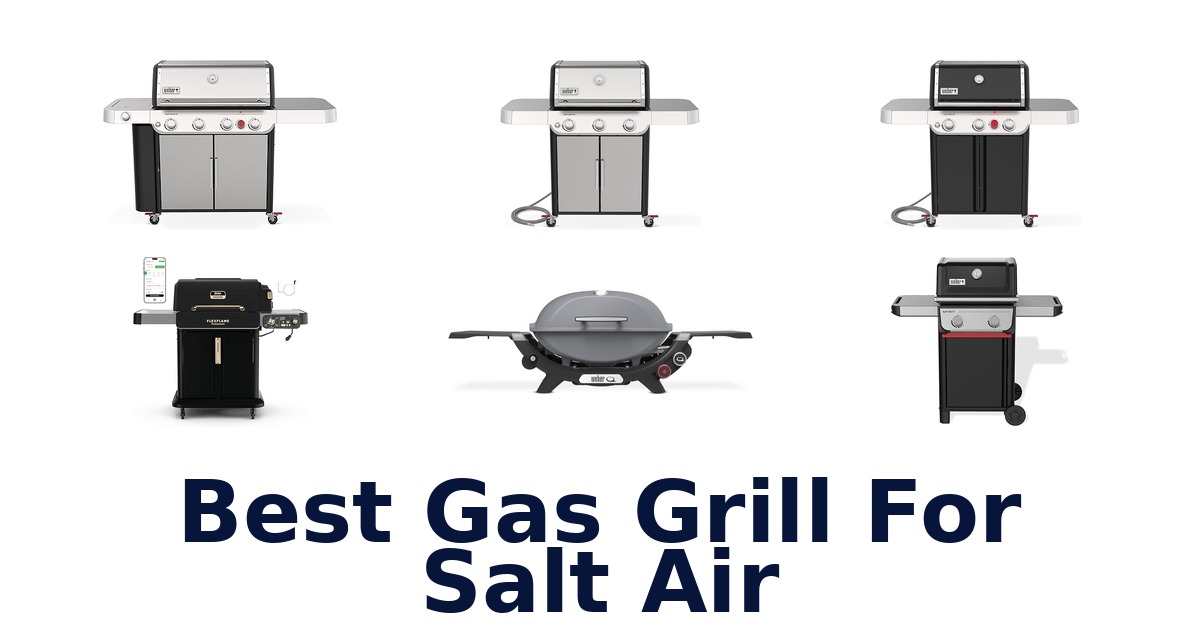 best gas grill for salt air
