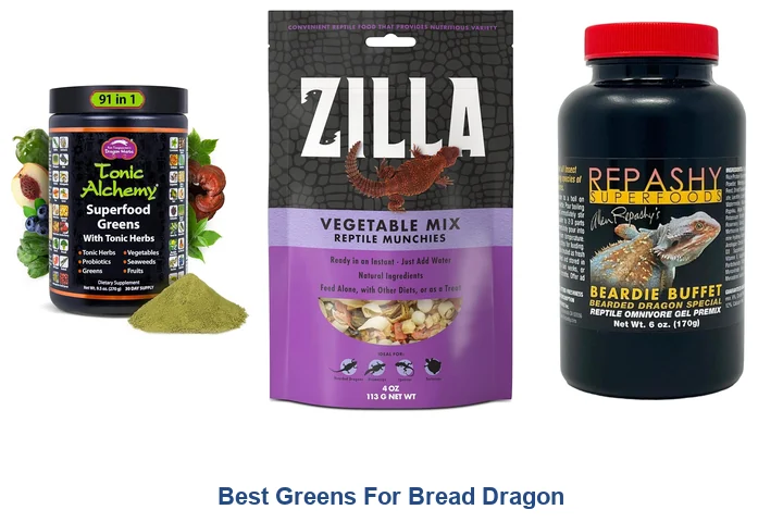 Best Greens For Bread Dragon