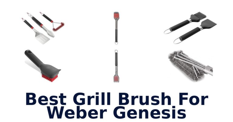 best grill brush for weber genesis
