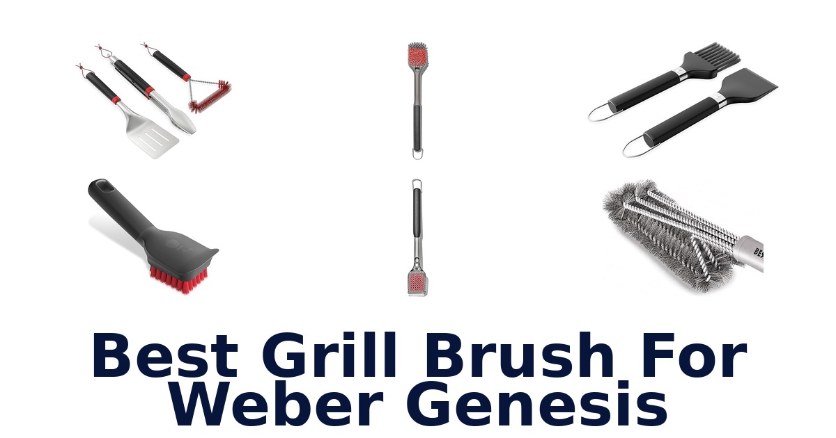 best grill brush for weber genesis
