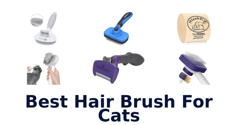 best hair brush for cats