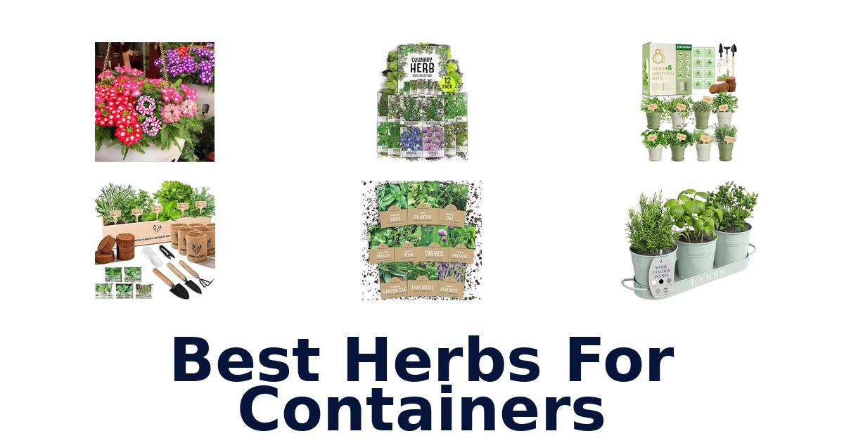 best herbs for containers