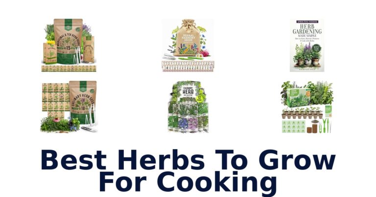 best herbs to grow for cooking