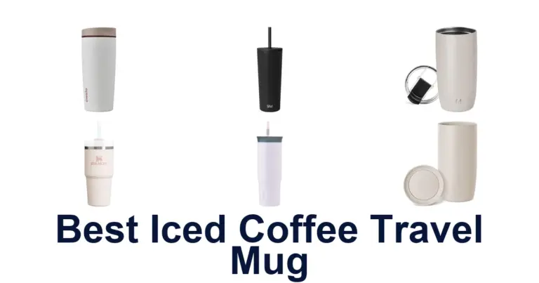best iced coffee travel mug