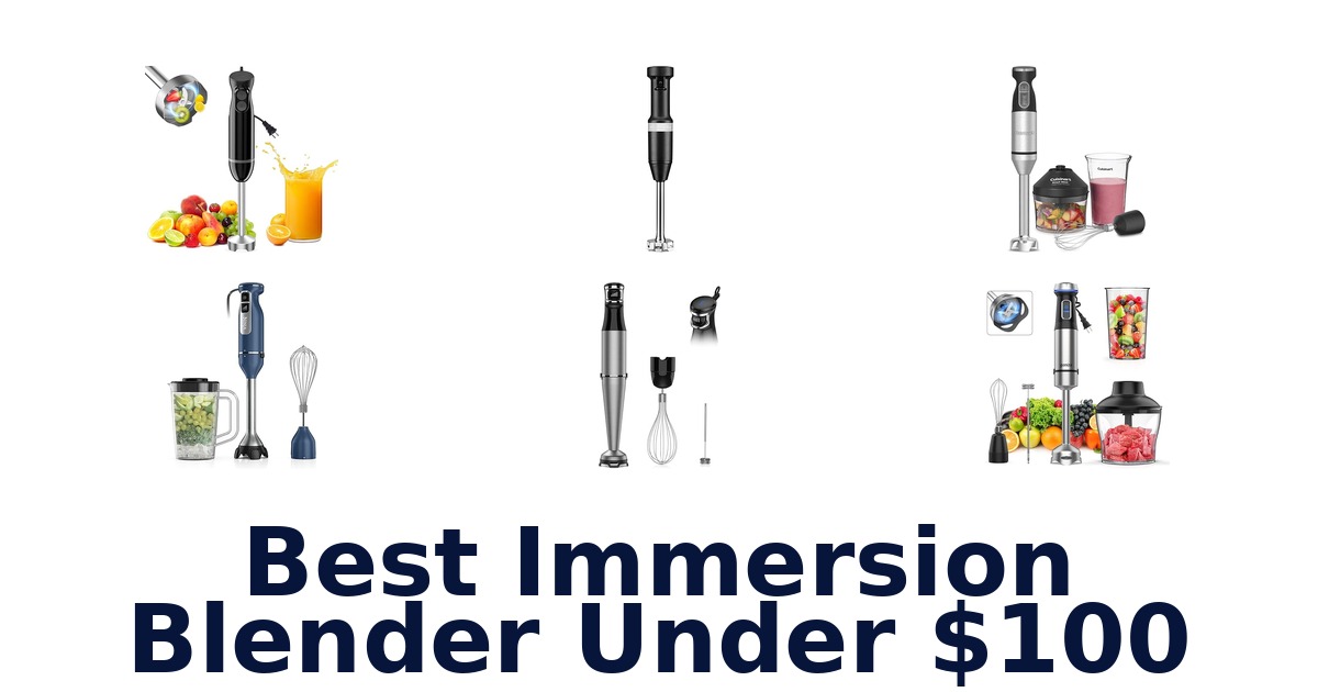 best immersion blender under $100