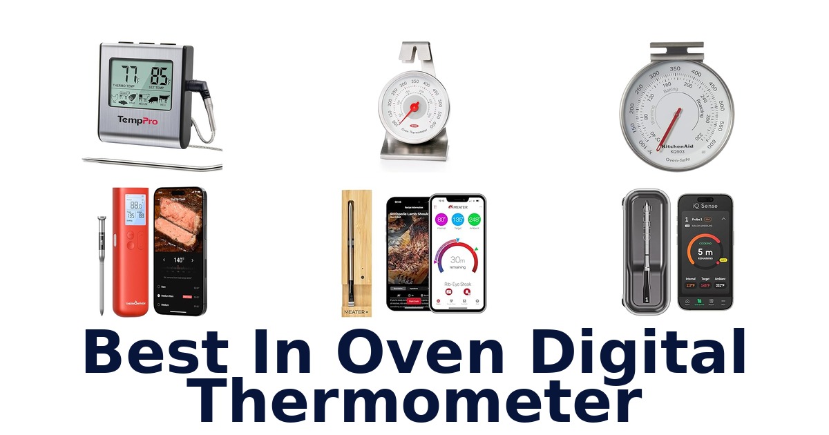 best in oven digital thermometer