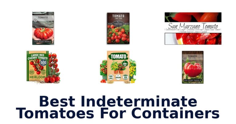 best indeterminate tomatoes for containers