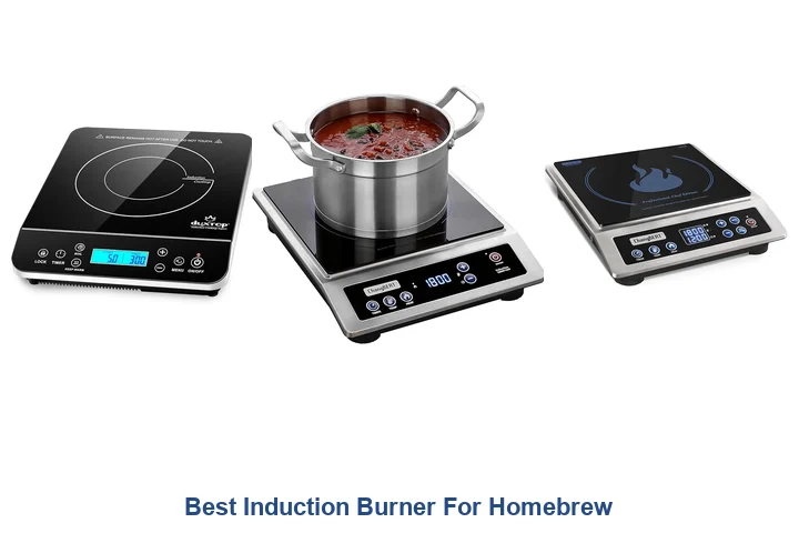 Best Induction Burner For Homebrew