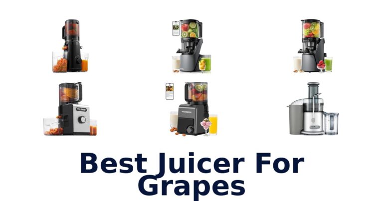 best juicer for grapes