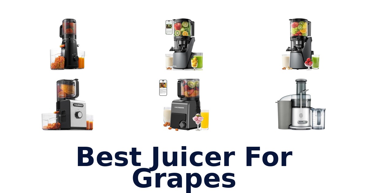 best juicer for grapes