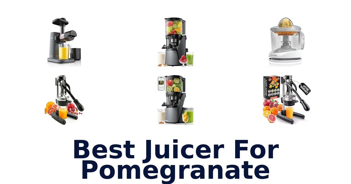 best juicer for pomegranate