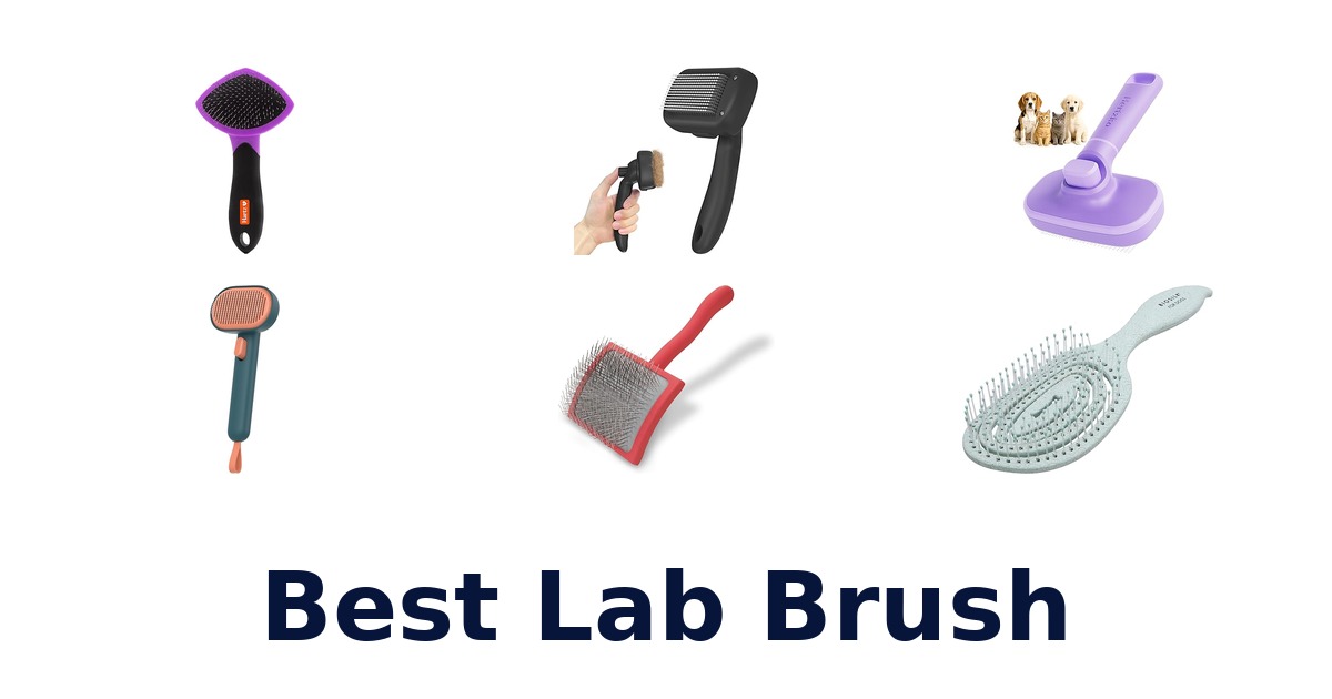 best lab brush