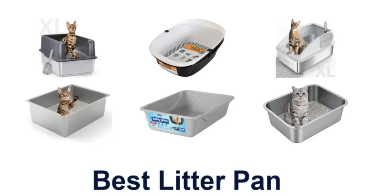 best litter pan