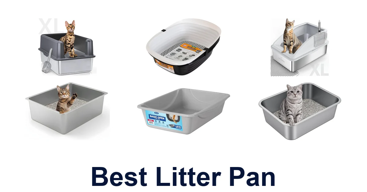 best litter pan