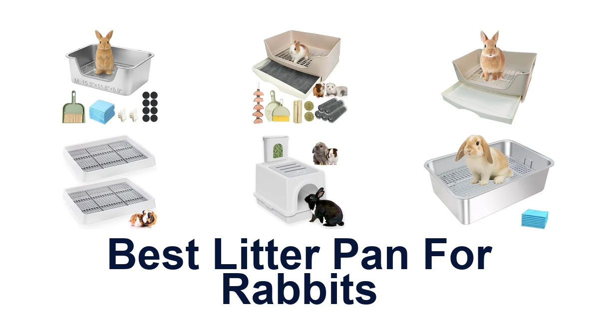 best litter pan for rabbits