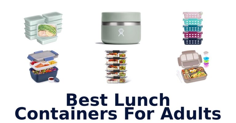 best lunch containers for adults