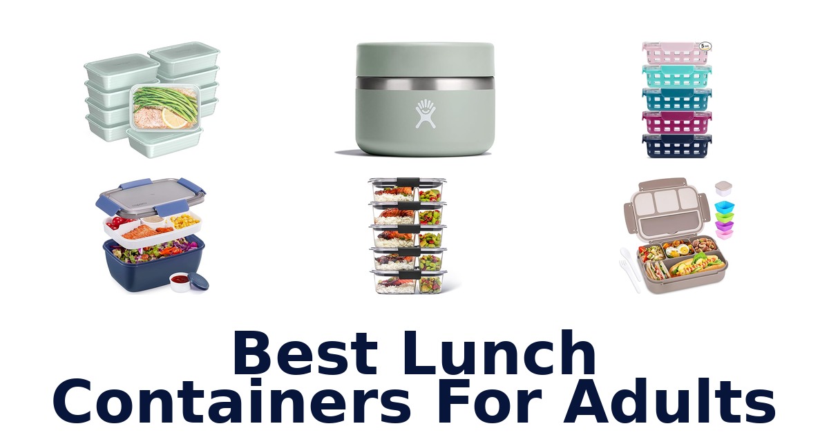 best lunch containers for adults