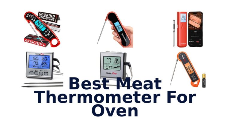 best meat thermometer for oven