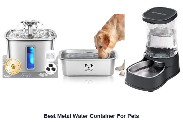 Best Metal Water Container For Pets